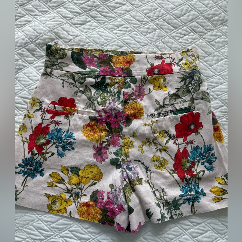 Zara shorts
